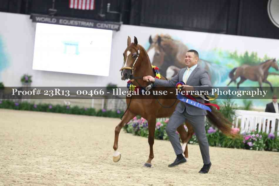 Proof 23R13_00466