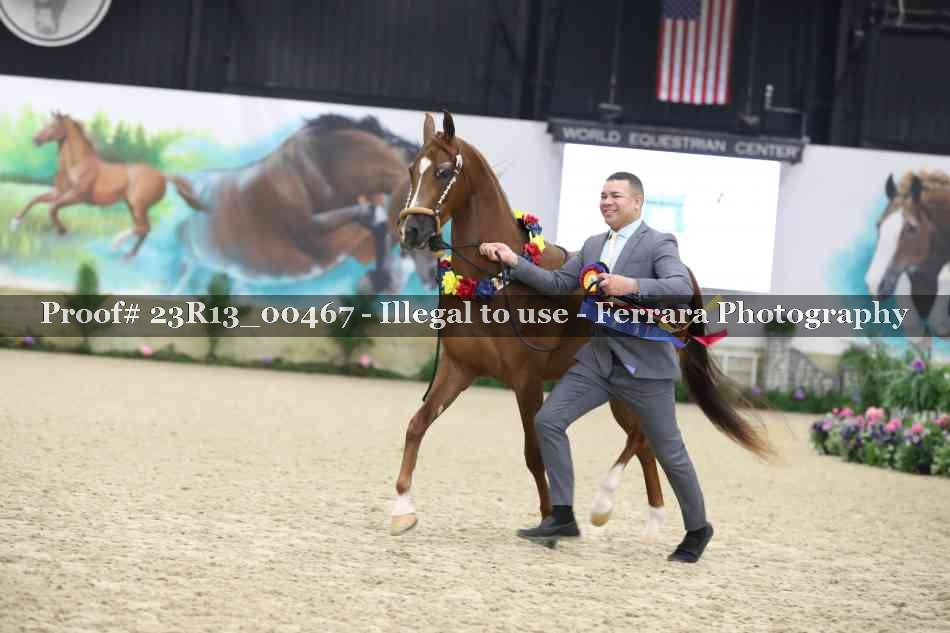 Proof 23R13_00467