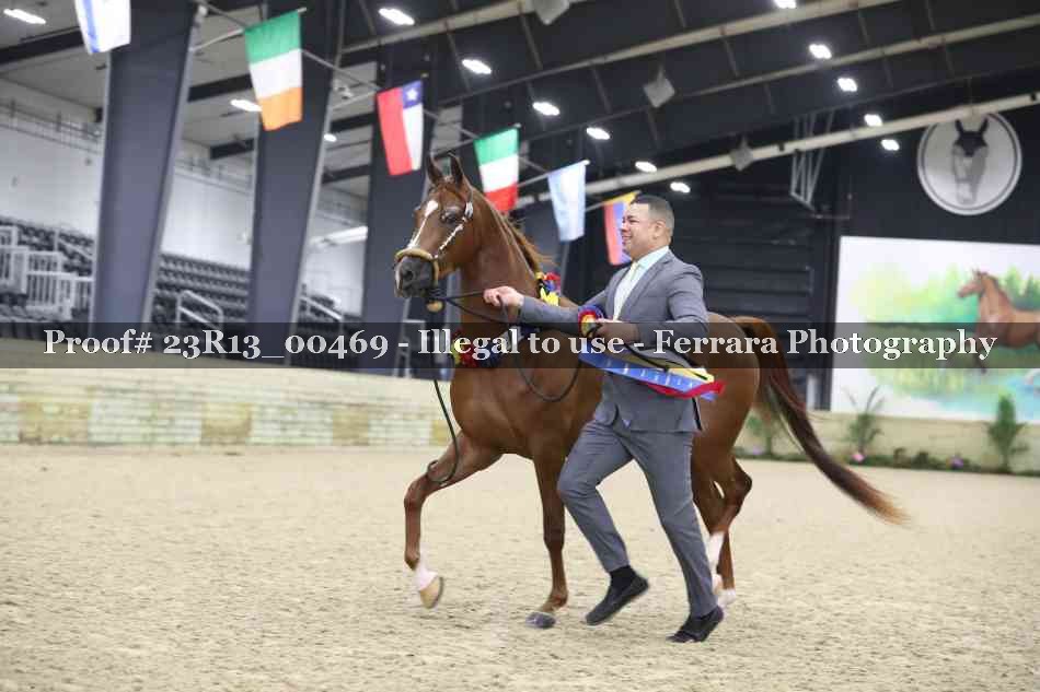 Proof 23R13_00469