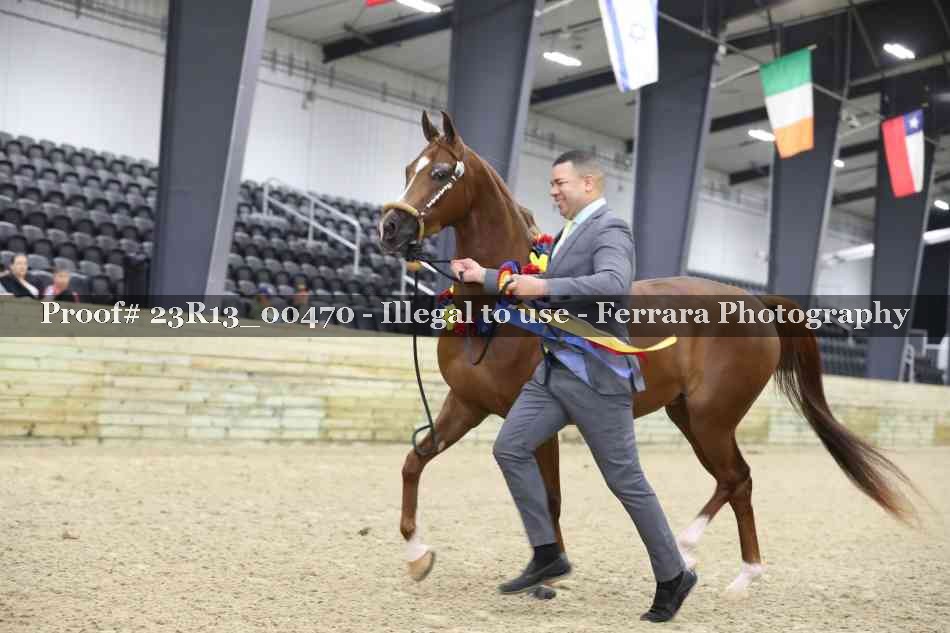 Proof 23R13_00470