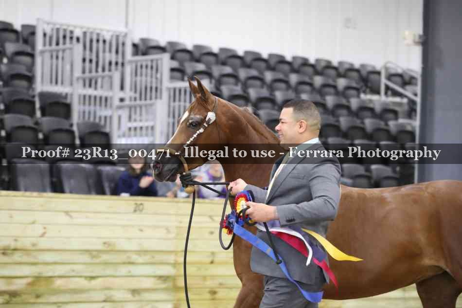 Proof 23R13_00471