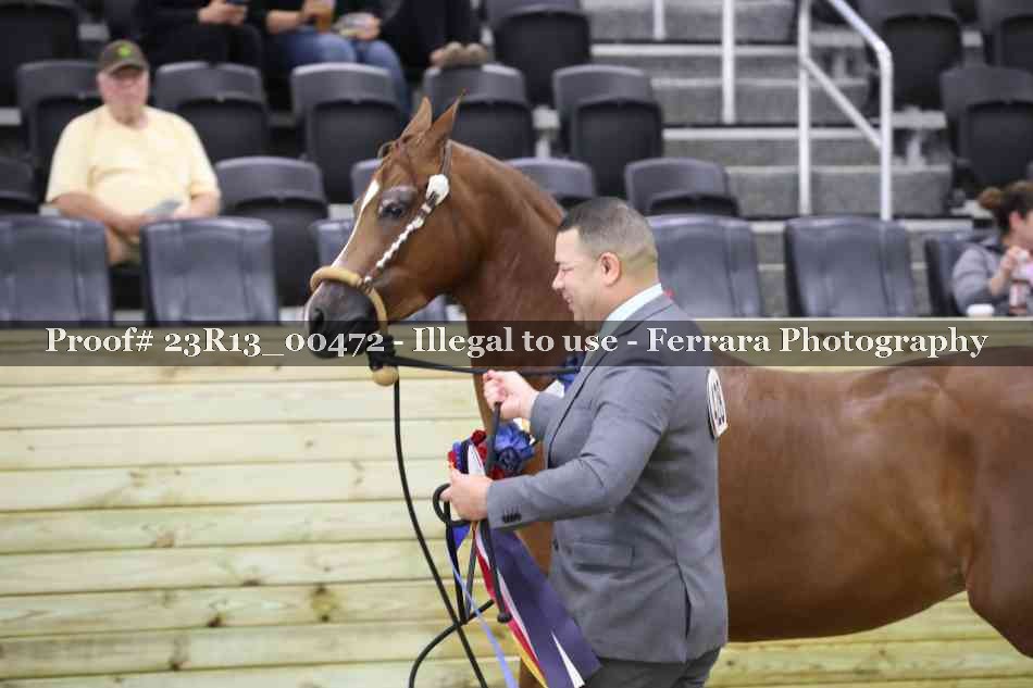 Proof 23R13_00472