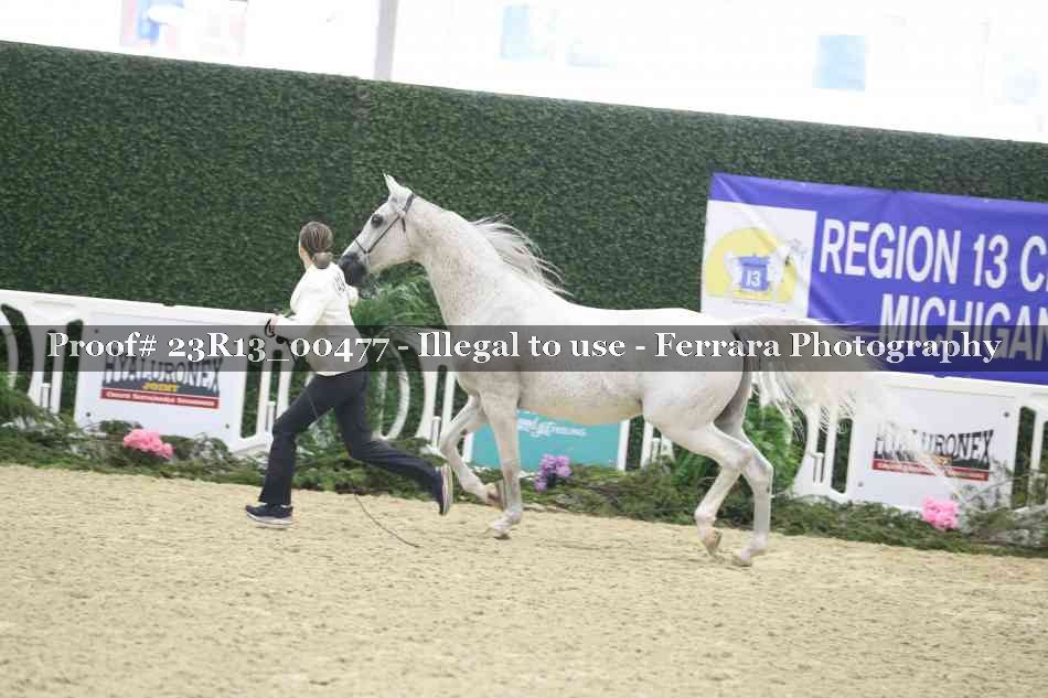 Proof 23R13_00477