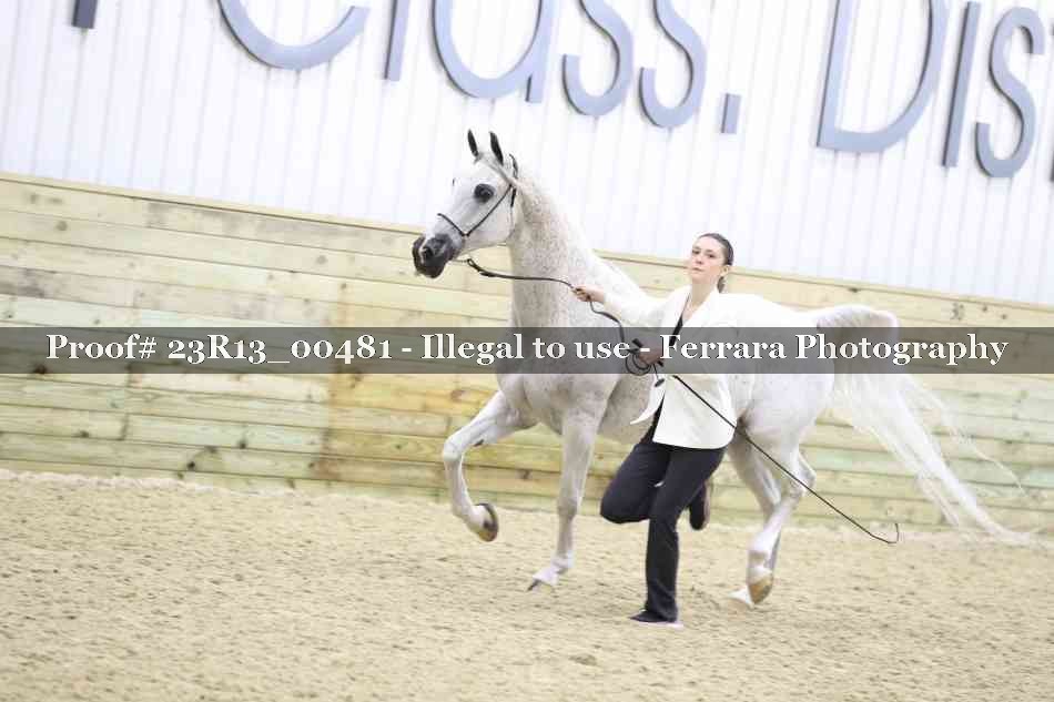 Proof 23R13_00481
