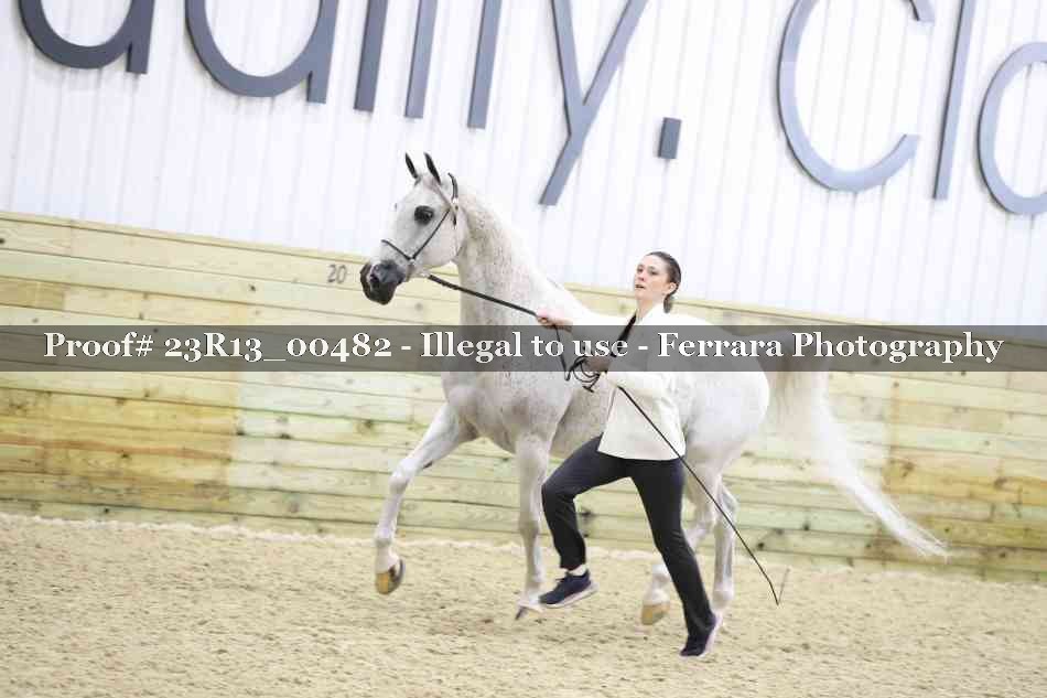 Proof 23R13_00482