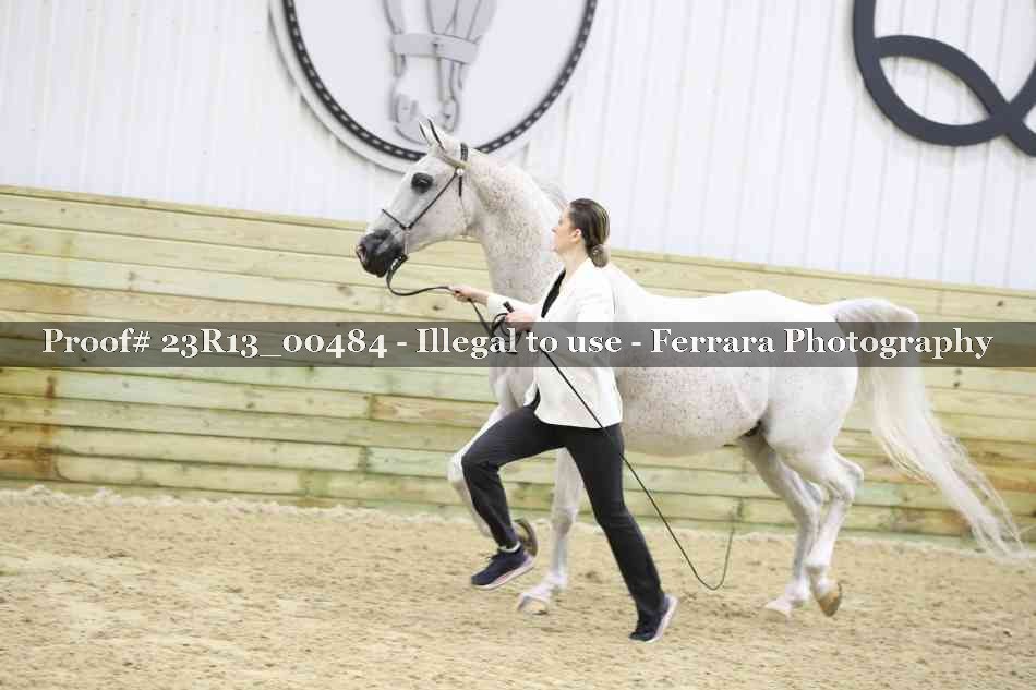 Proof 23R13_00484
