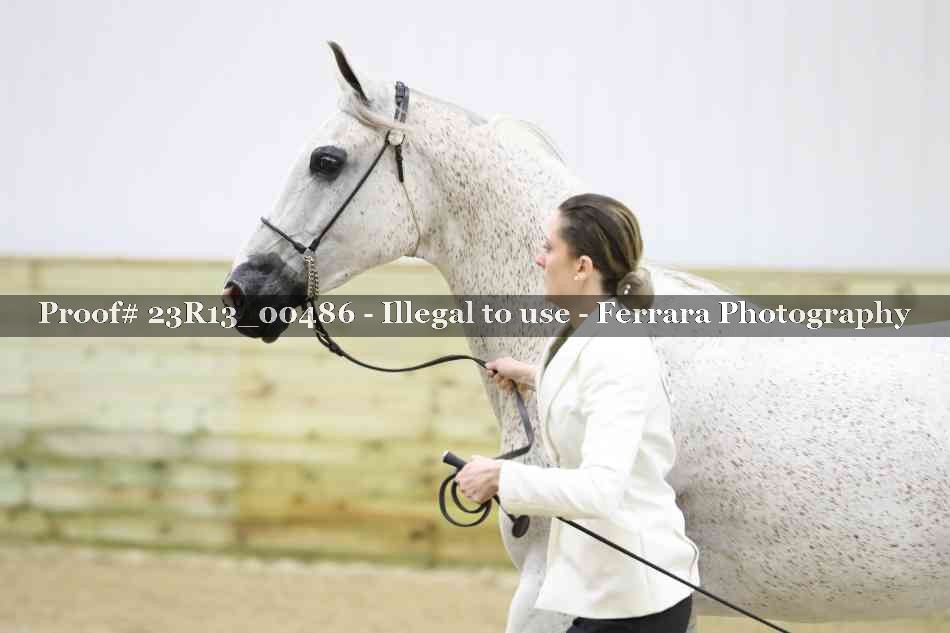 Proof 23R13_00486