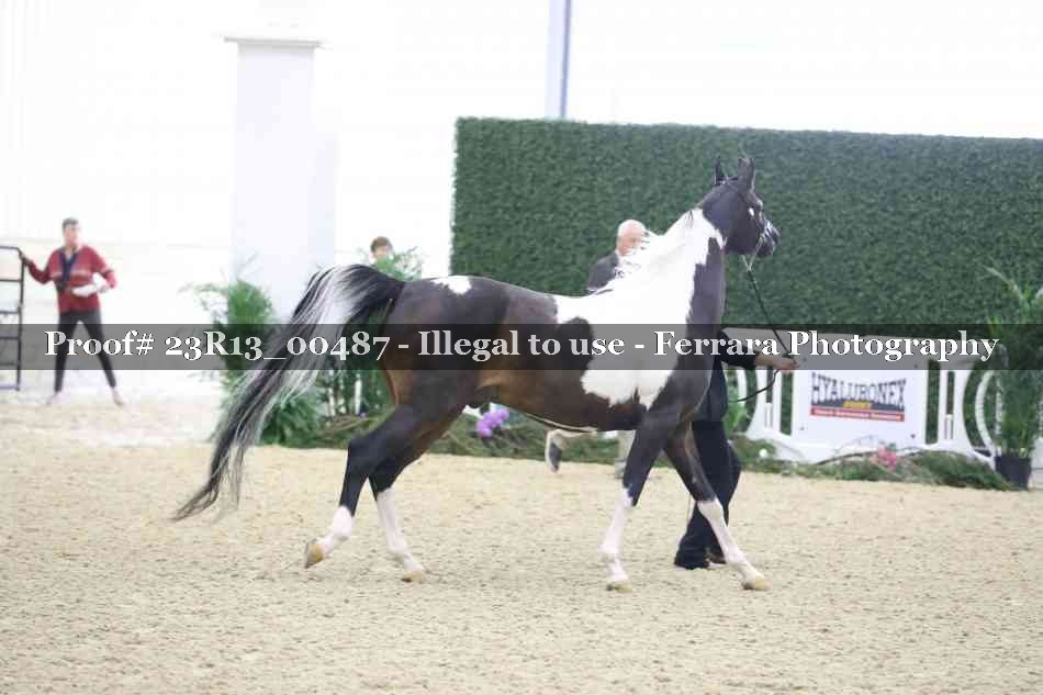 Proof 23R13_00487