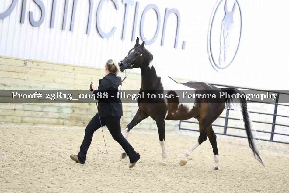 Proof 23R13_00488