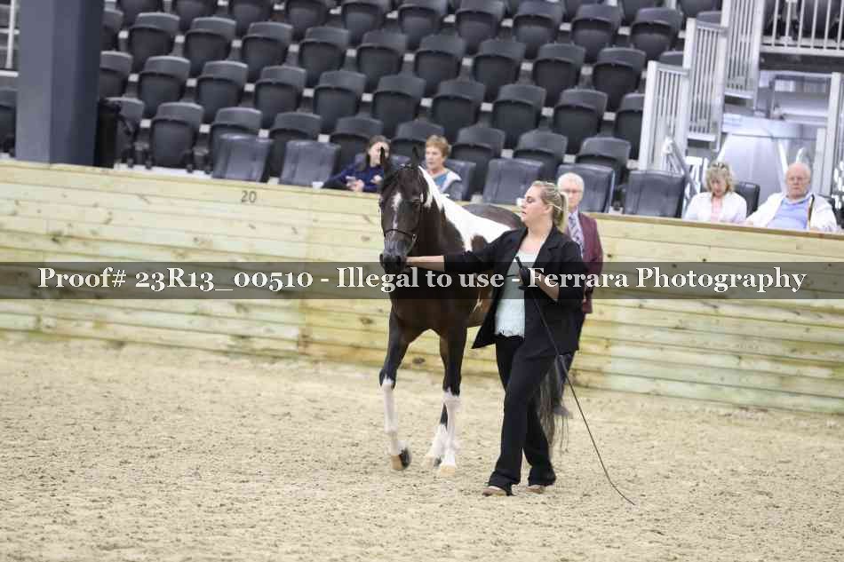Proof 23R13_00510