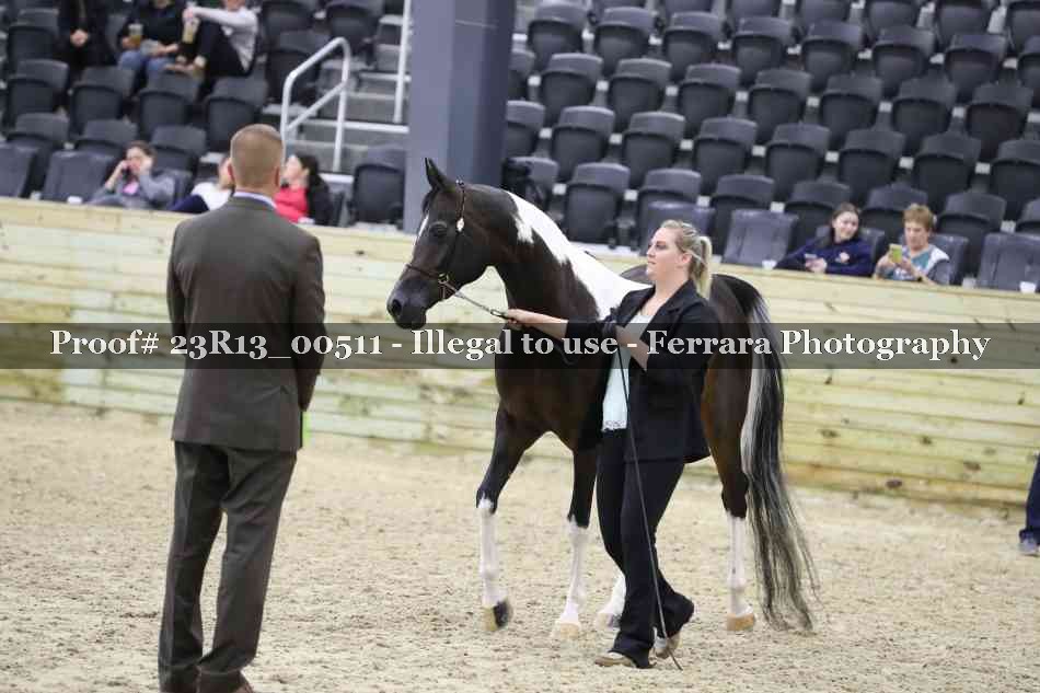 Proof 23R13_00511