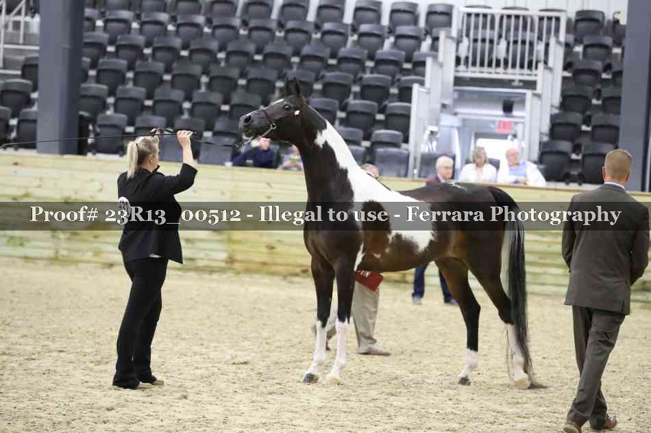 Proof 23R13_00512