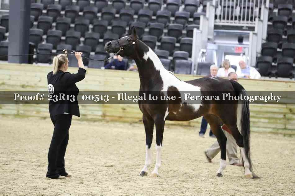 Proof 23R13_00513