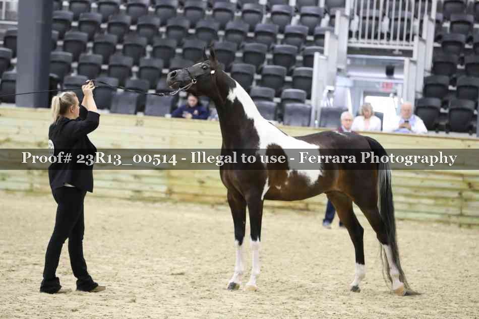 Proof 23R13_00514