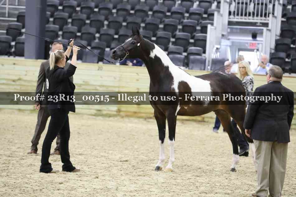 Proof 23R13_00515
