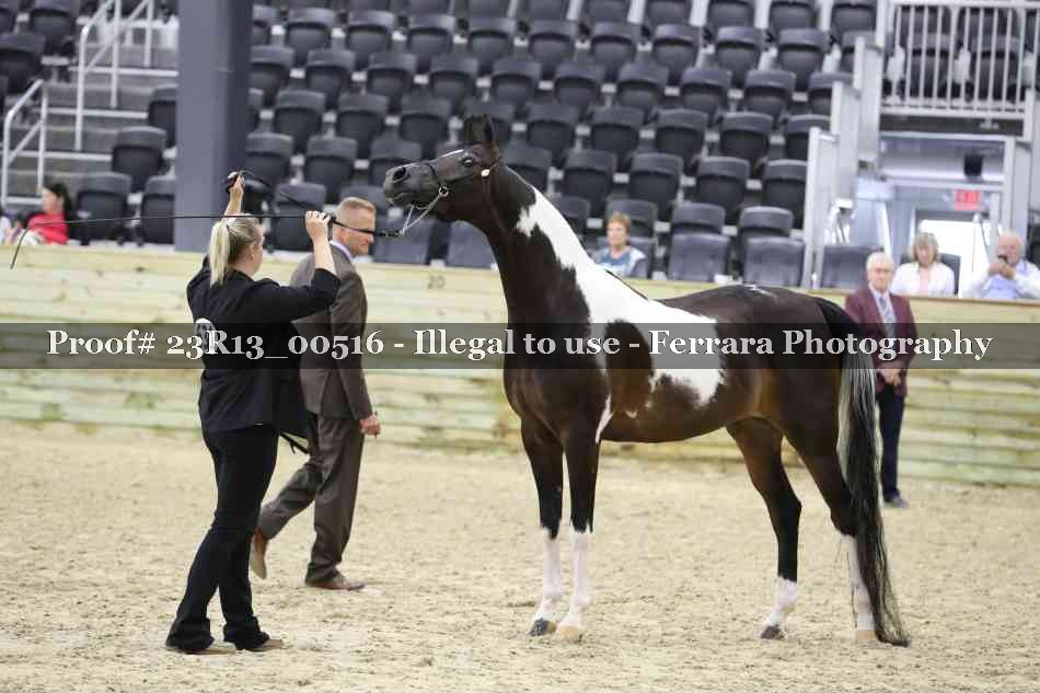 Proof 23R13_00516