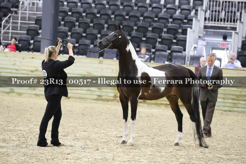 Proof 23R13_00517