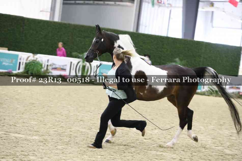 Proof 23R13_00518
