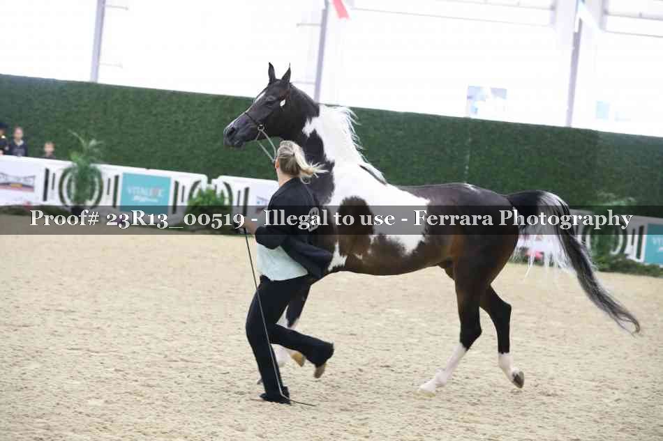 Proof 23R13_00519