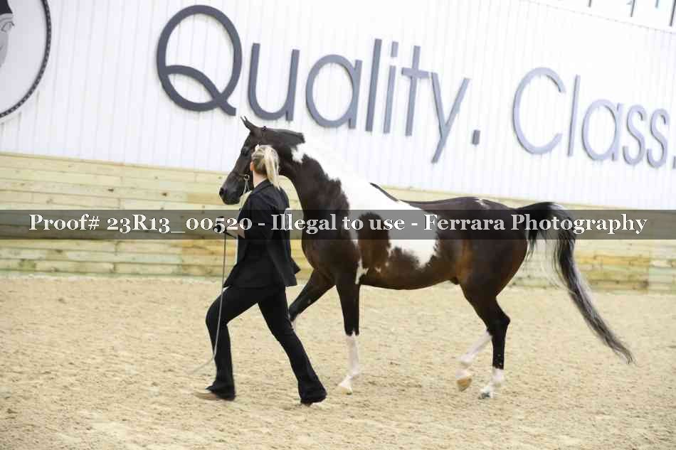 Proof 23R13_00520
