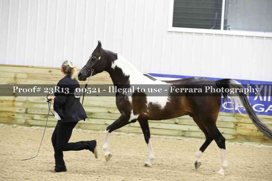 Proof 23R13_00521
