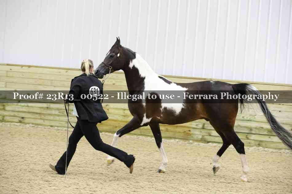 Proof 23R13_00522