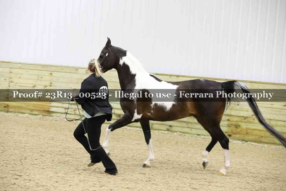 Proof 23R13_00523