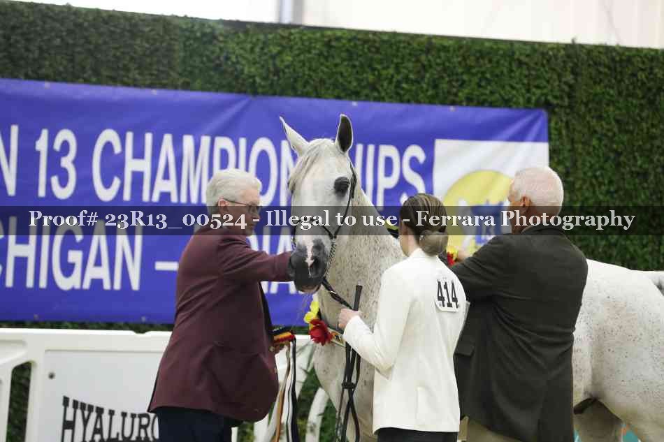 Proof 23R13_00524