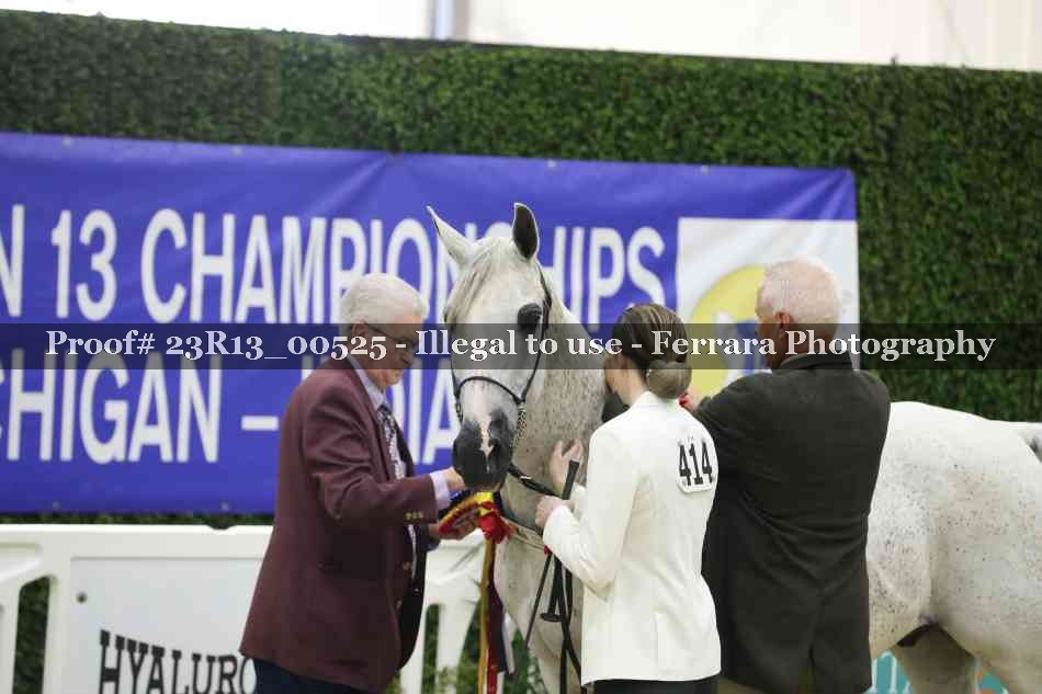 Proof 23R13_00525