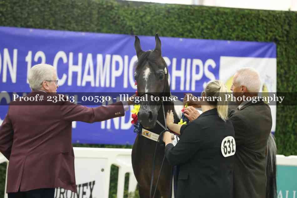 Proof 23R13_00530