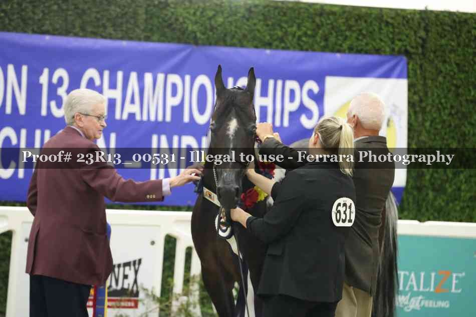 Proof 23R13_00531