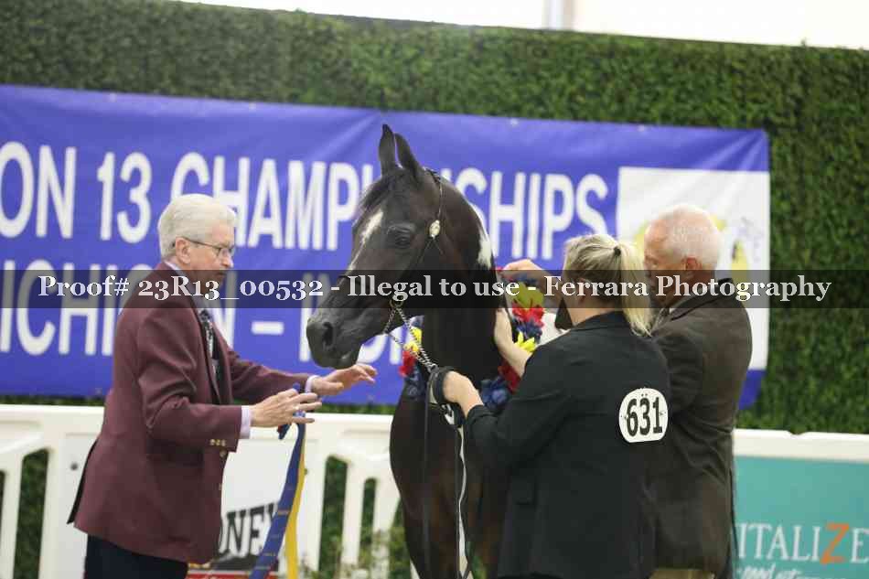 Proof 23R13_00532