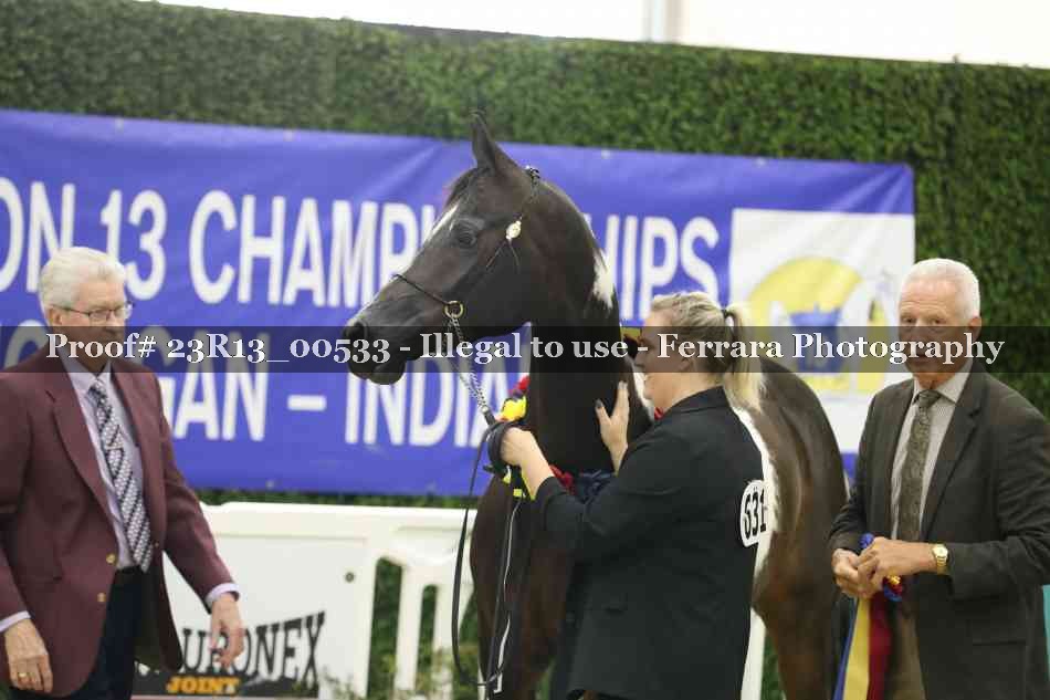 Proof 23R13_00533