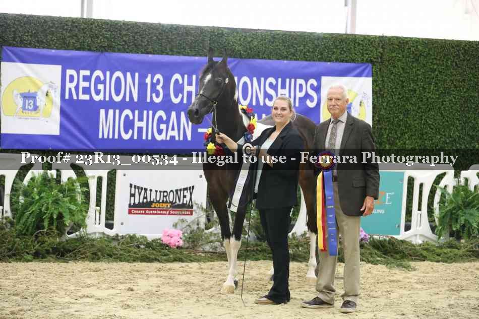 Proof 23R13_00534