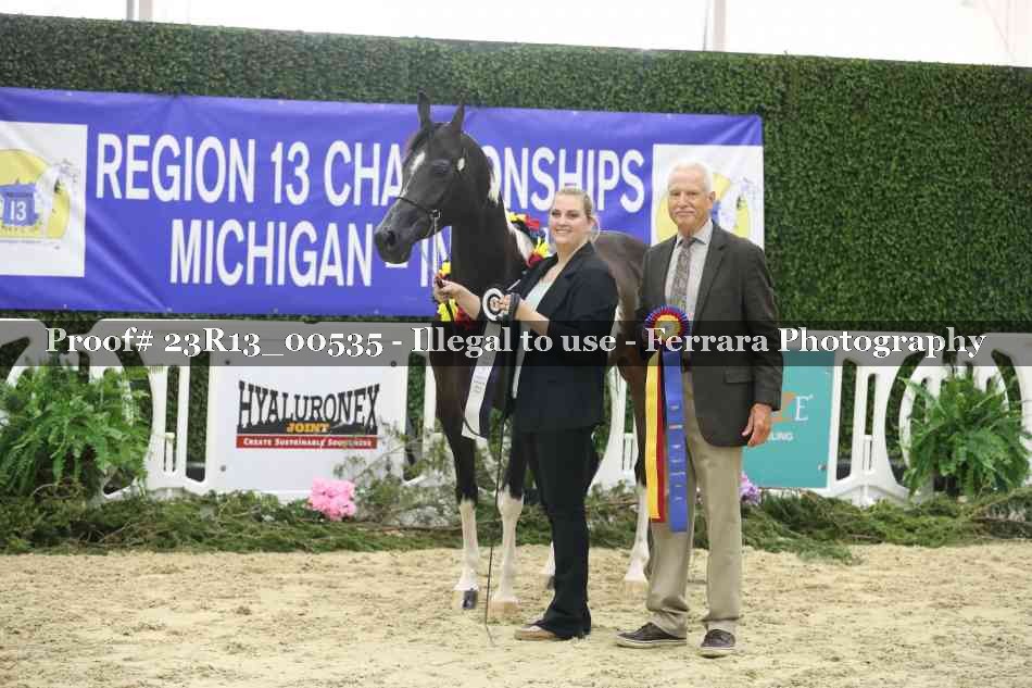 Proof 23R13_00535