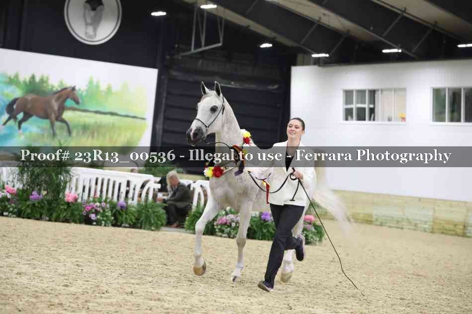 Proof 23R13_00536
