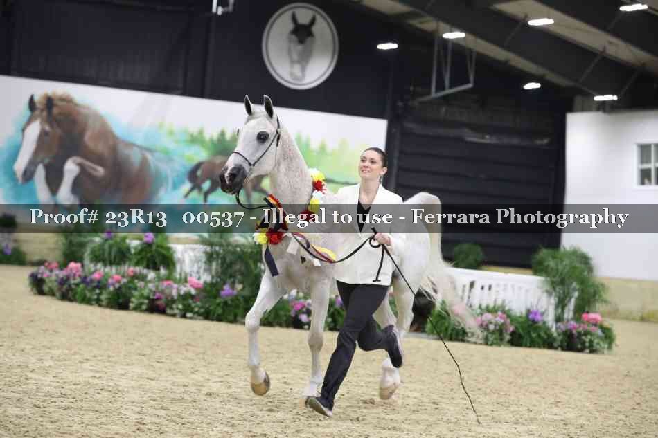 Proof 23R13_00537