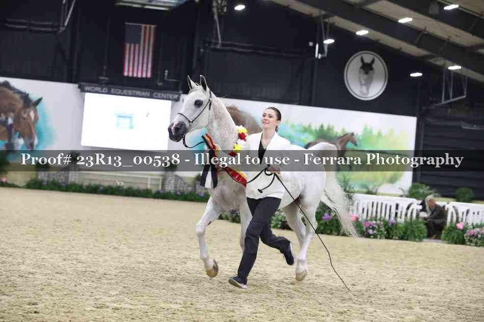 Proof 23R13_00538