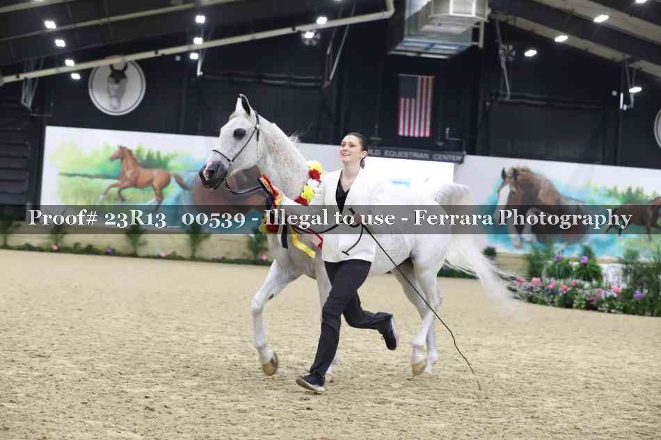 Proof 23R13_00539