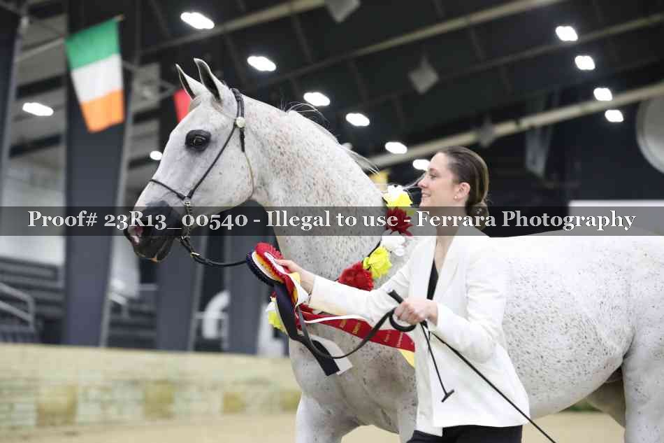 Proof 23R13_00540