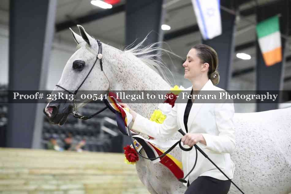 Proof 23R13_00541