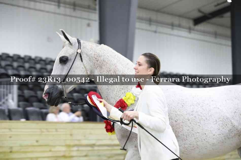 Proof 23R13_00542
