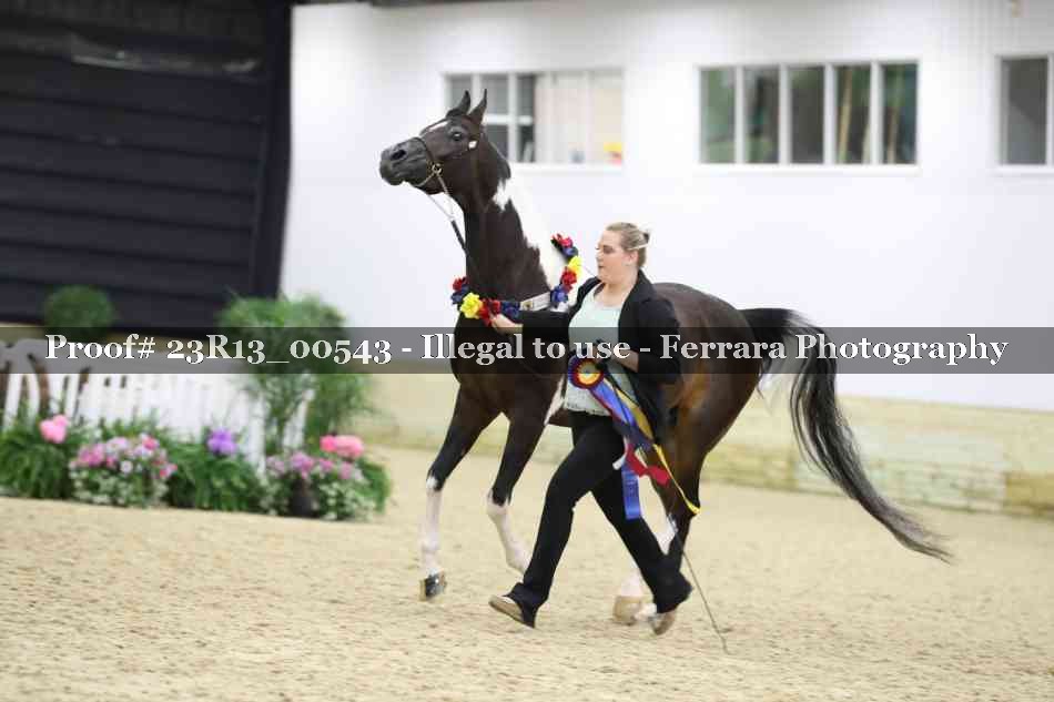 Proof 23R13_00543