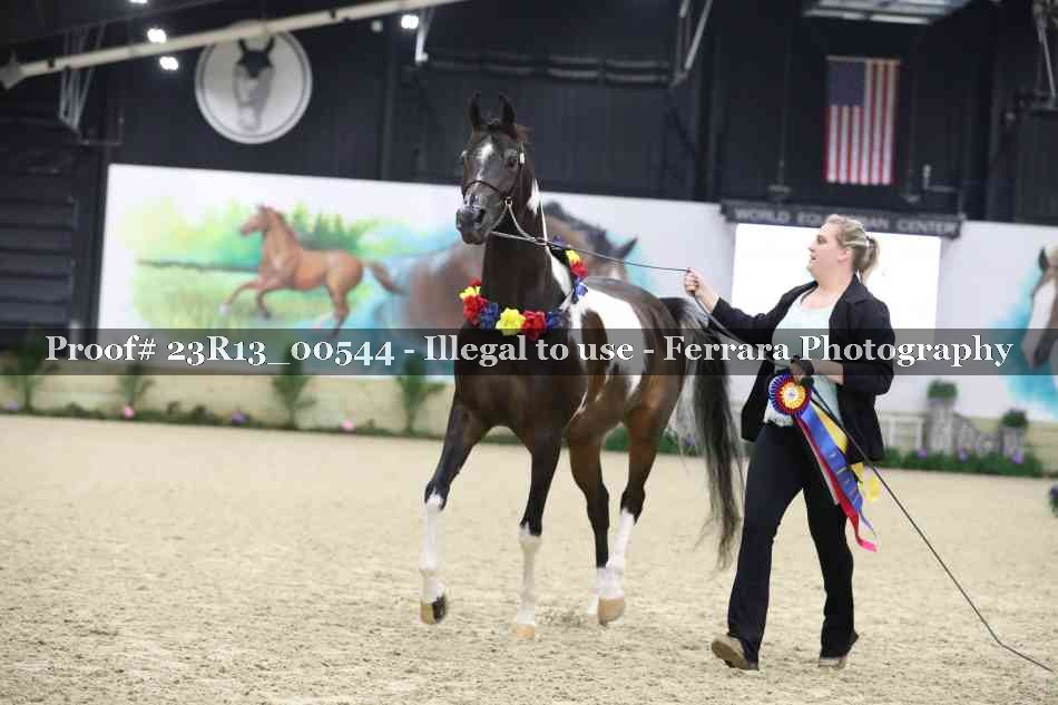 Proof 23R13_00544