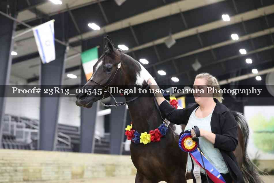 Proof 23R13_00545