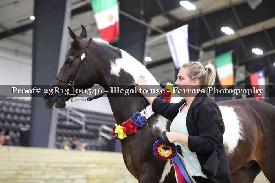 Proof 23R13_00546