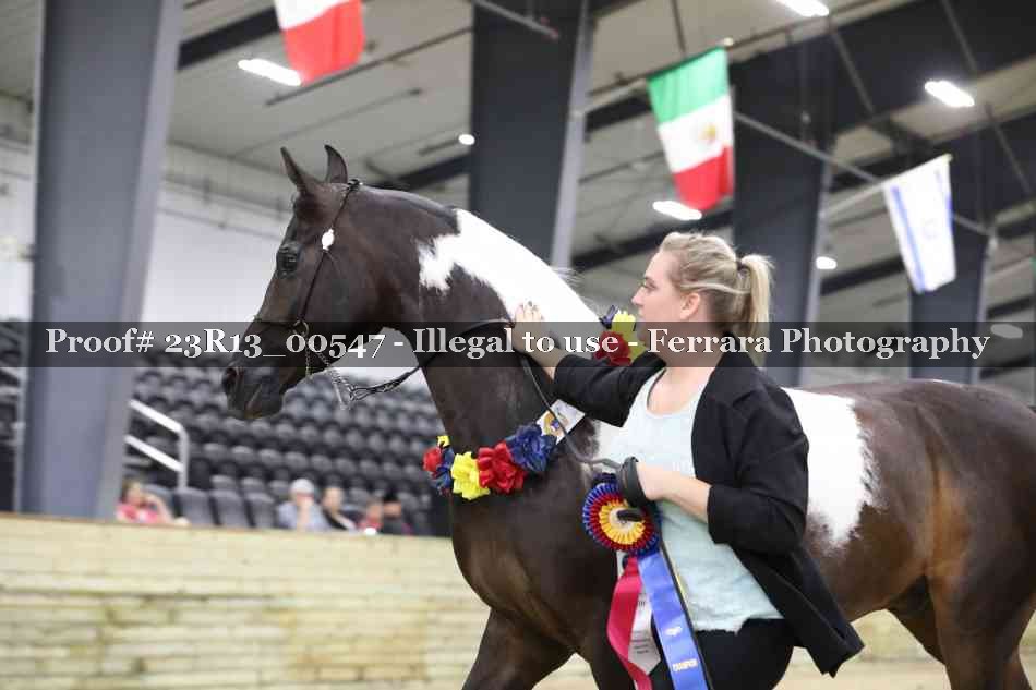 Proof 23R13_00547