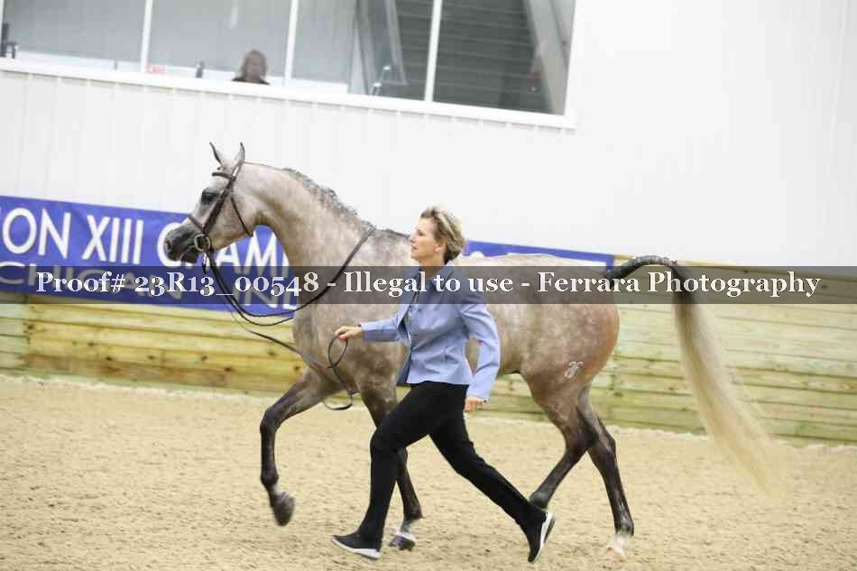 Proof 23R13_00548