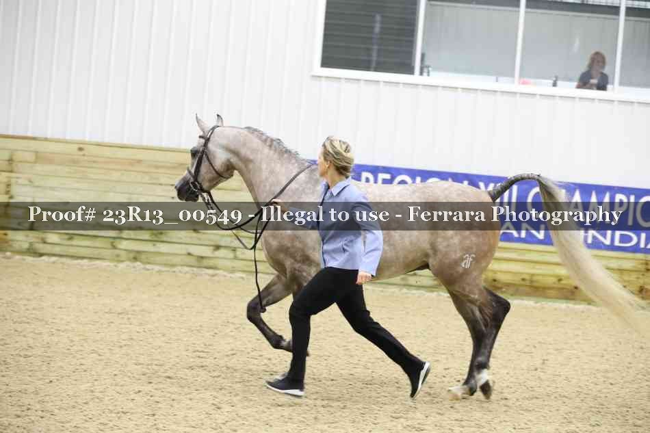 Proof 23R13_00549