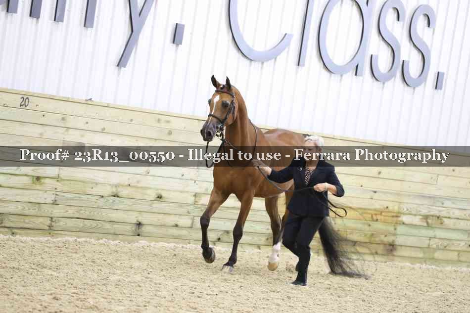Proof 23R13_00550